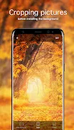 Herbst Hintergrundbilder 4K Screenshot 4