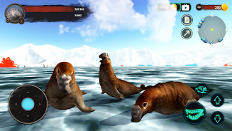 The Seal Elephant Screenshot 4