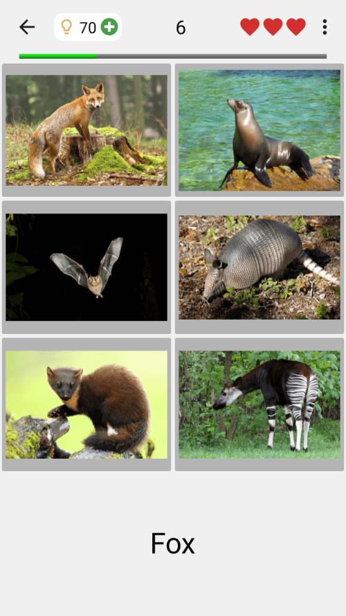 Animals Quiz Learn All Mammals Captura de pantalla 2