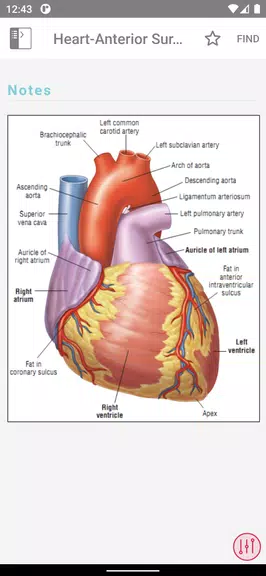 ECG Notes: Quick look-up ref. 스크린샷 3