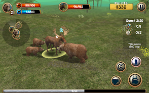 Wild Bear Simulator 3D應用截圖第3張