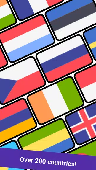Geomi — Flags & Countries Screenshot 2