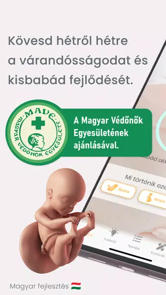 PregHello – terhességi app应用截图第1张