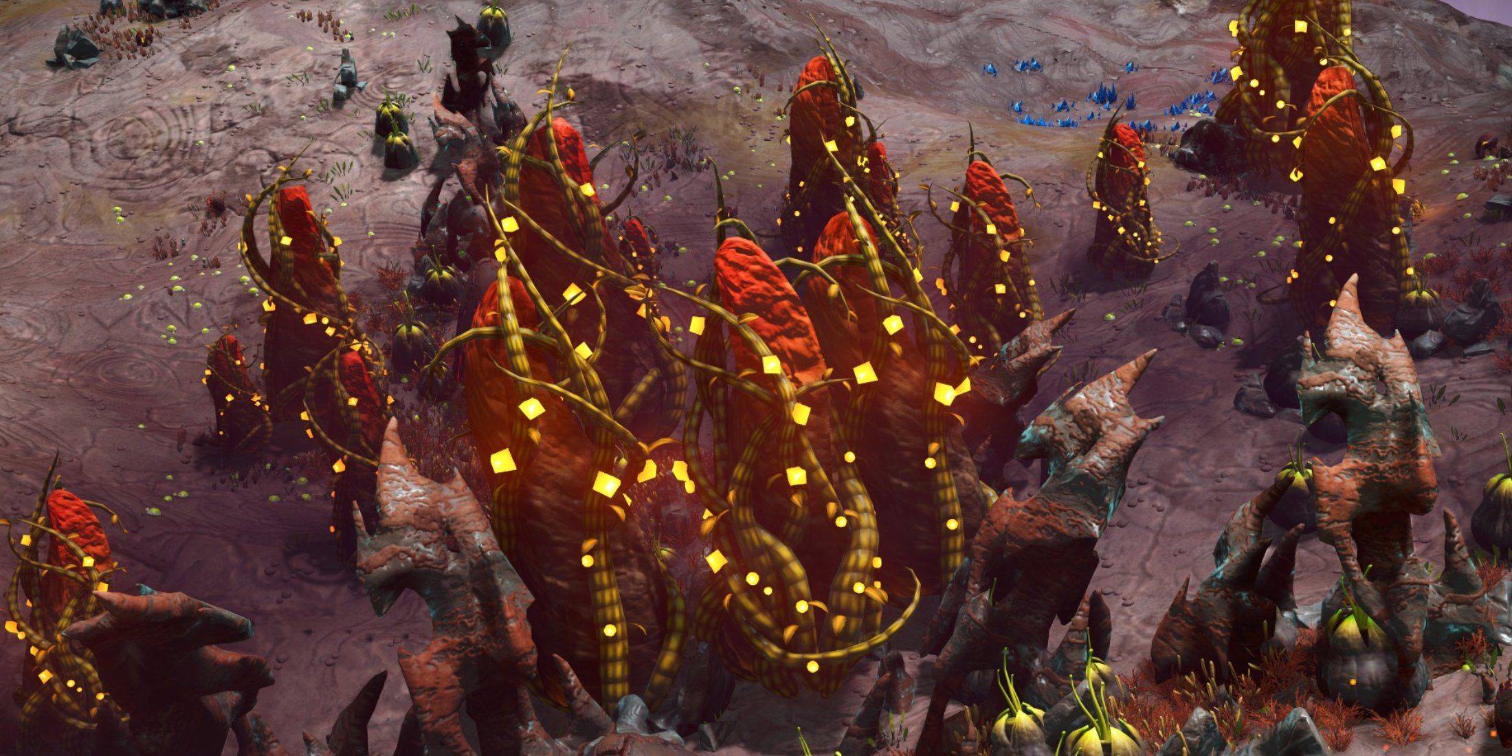 谷歌搜索友好：获取 No Man's Sky 中的 Solanium