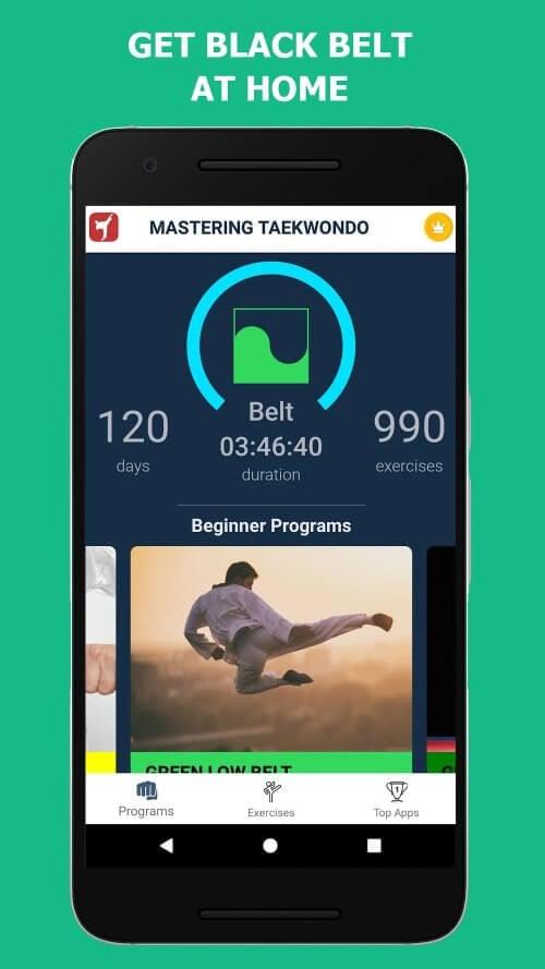 Mastering Taekwondo at Home應用截圖第3張