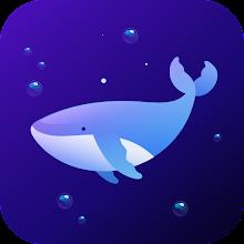 Dolphin VPN-Fast & Stable