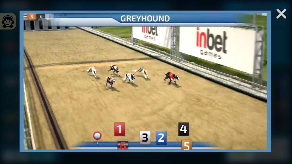 Dogs3D Races Betting स्क्रीनशॉट 3