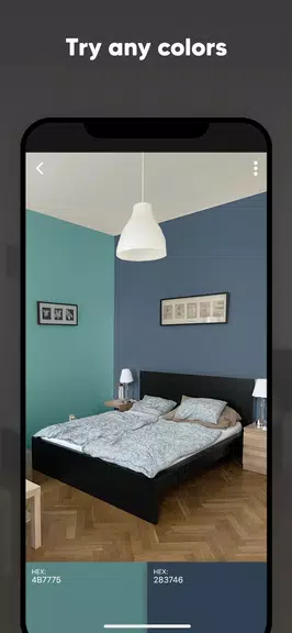 Paint my Room - Try wall color應用截圖第3張