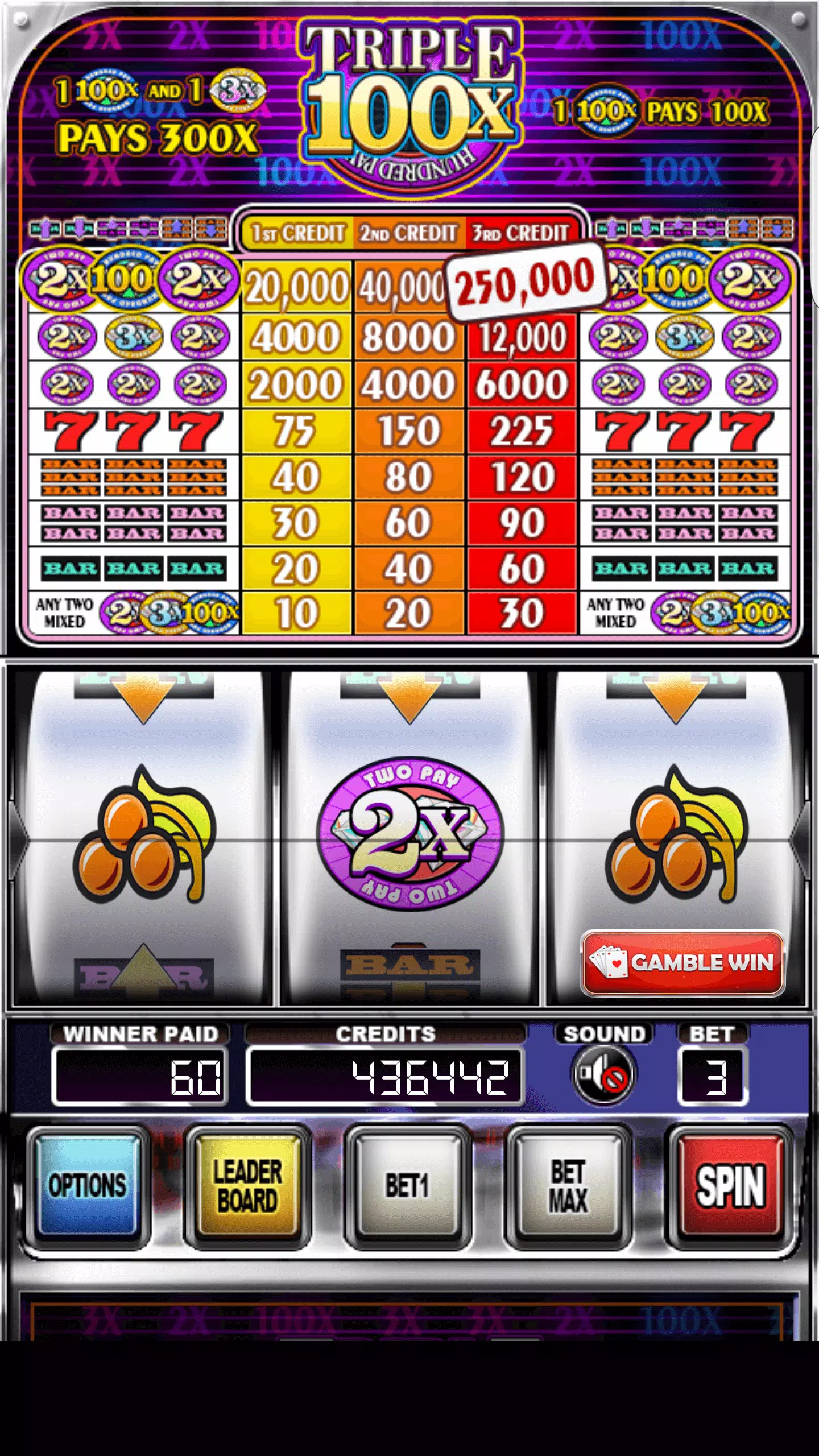 Double Wild Slots应用截图第2张