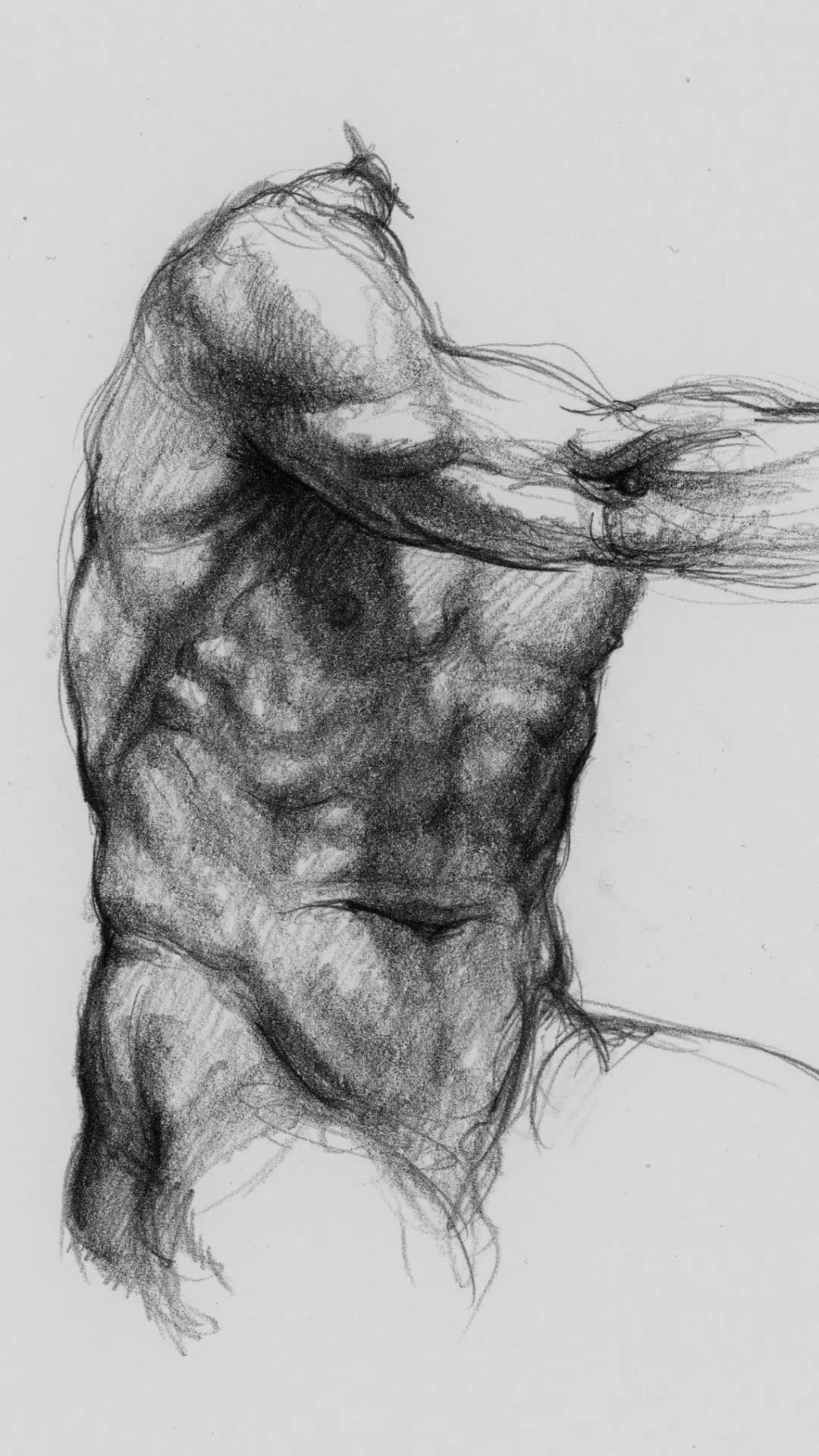 3D Anatomy for the Artist應用截圖第1張