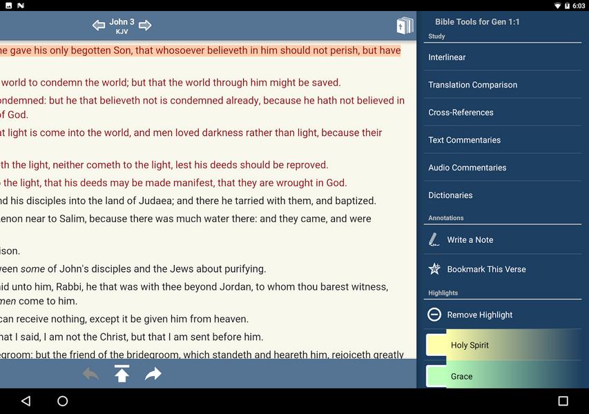 Blue Letter Bible Screenshot 3