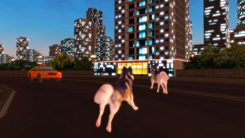 Husky Simulator 스크린샷 3