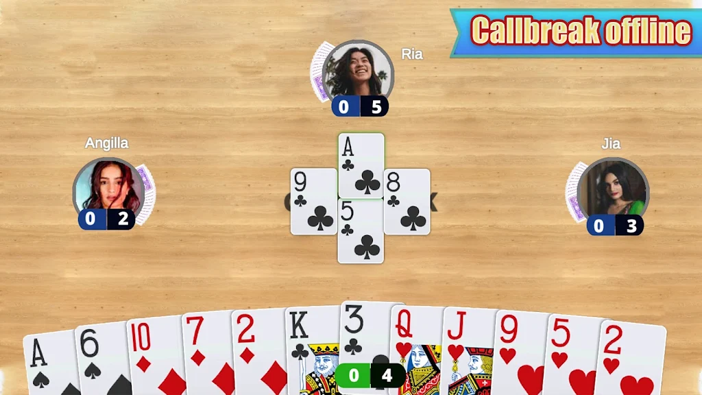 Card Game Collection : Offline Screenshot 1
