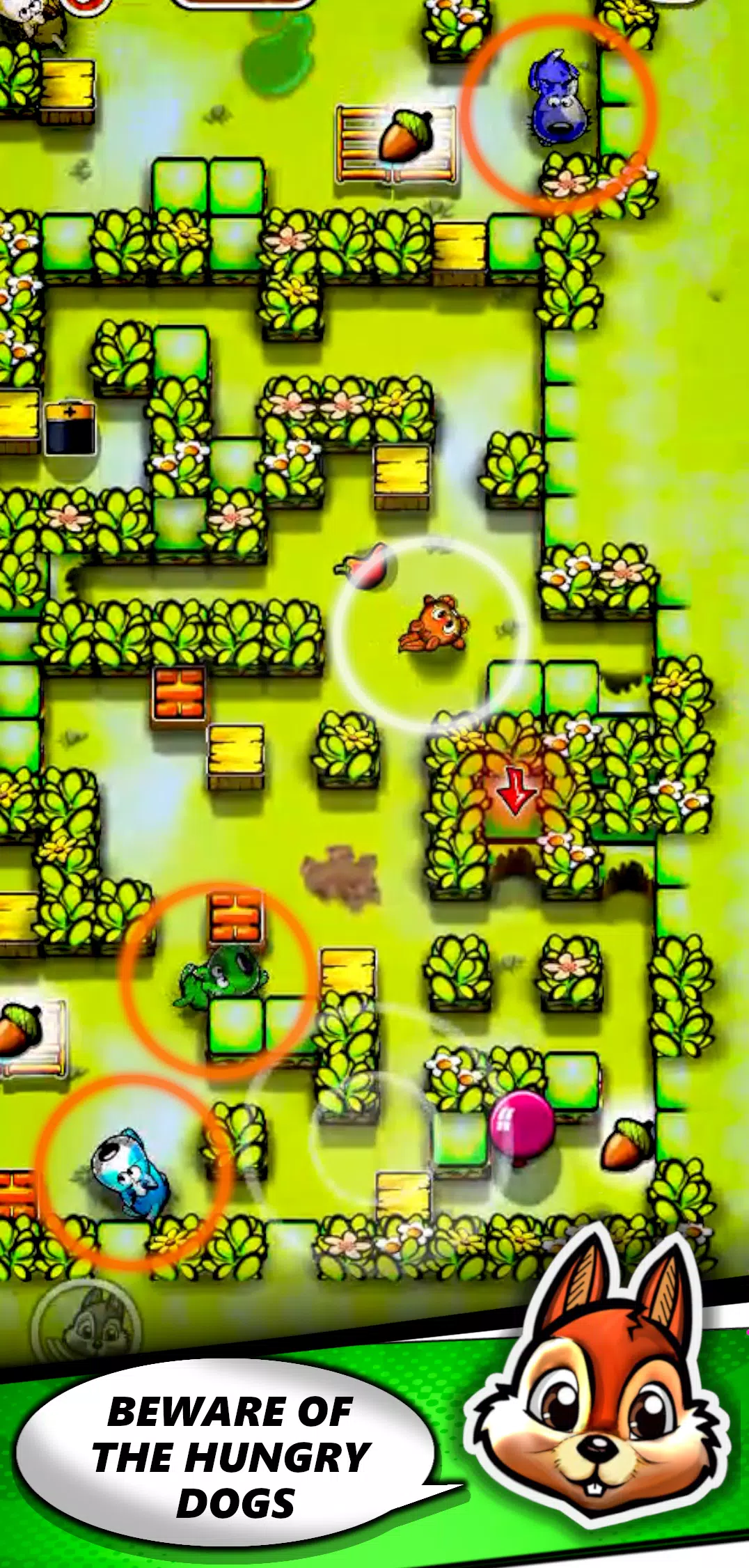 Squirrel Maze Escape应用截图第1张
