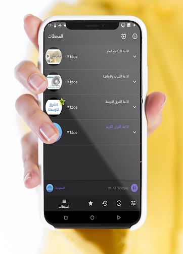 اذاعات مصر - البرنامج العام スクリーンショット 4