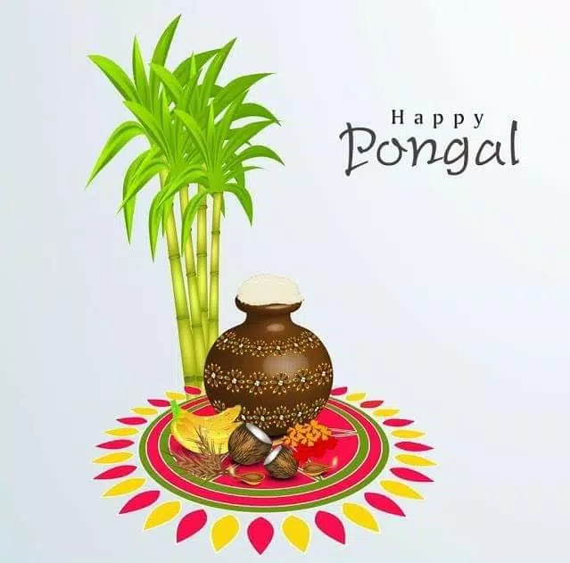 Happy Pongal Wishes應用截圖第2張