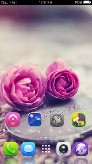 Pink Roses Theme C Launcher應用截圖第3張