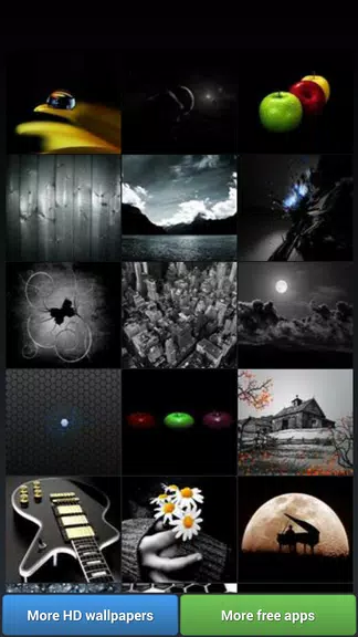 Black Theme HD Wallpapers スクリーンショット 2