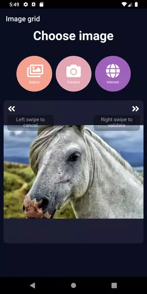 ImageGrid应用截图第2张