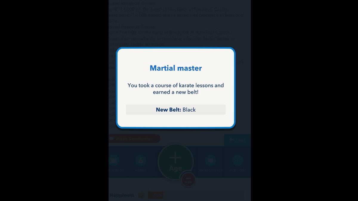 Bitlife Black Belt 획득