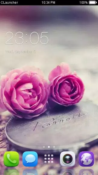Pink Roses Theme C Launcher應用截圖第1張