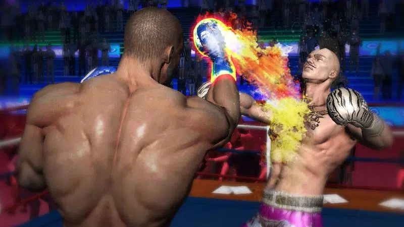 Punch Boxing 3D Screenshot 4