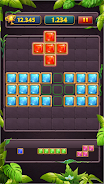 Block Puzzle Jewel Classic Capture d'écran 2