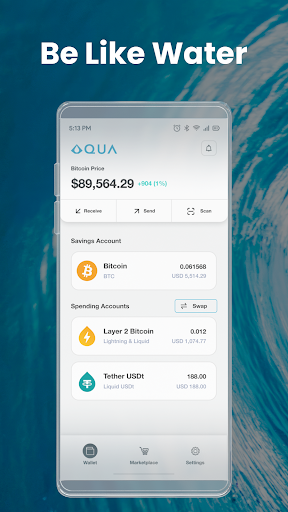 AQUA Wallet Screenshot 2