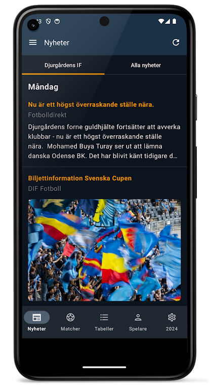 Allsvenskan 2024應用截圖第1張