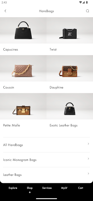 Louis Vuitton Capture d'écran 3