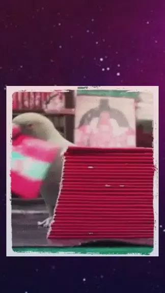 Parrot Tarot card Reading Fortune teller Astrology應用截圖第2張