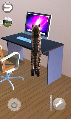 Talking Reality Cat Screenshot 4