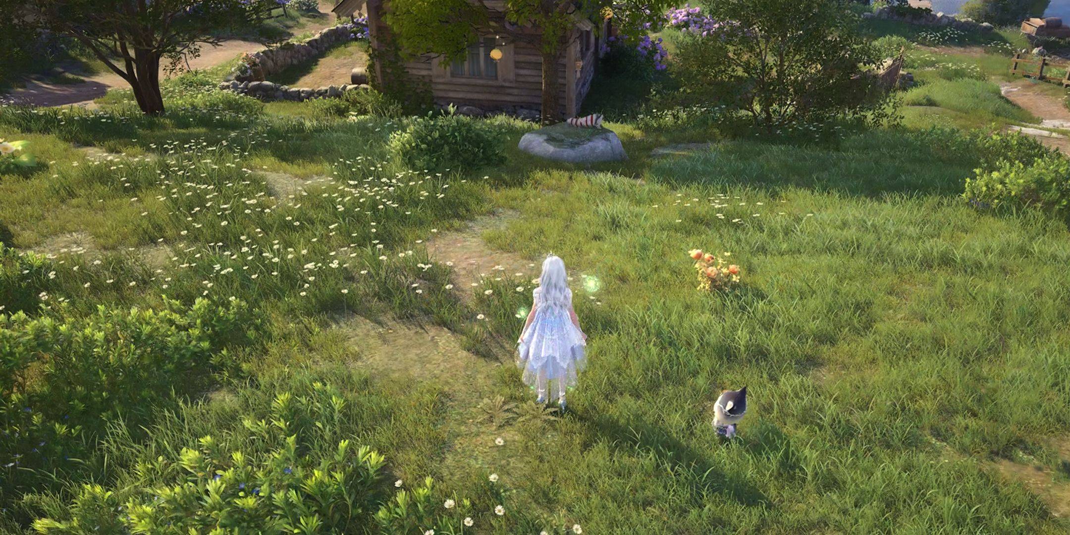 Infinity Nikki: Socko를 얻는 방법