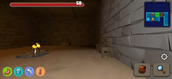 A picture of a first-person perspective in a dark dungeon, with health, hunger and thirst bars visible