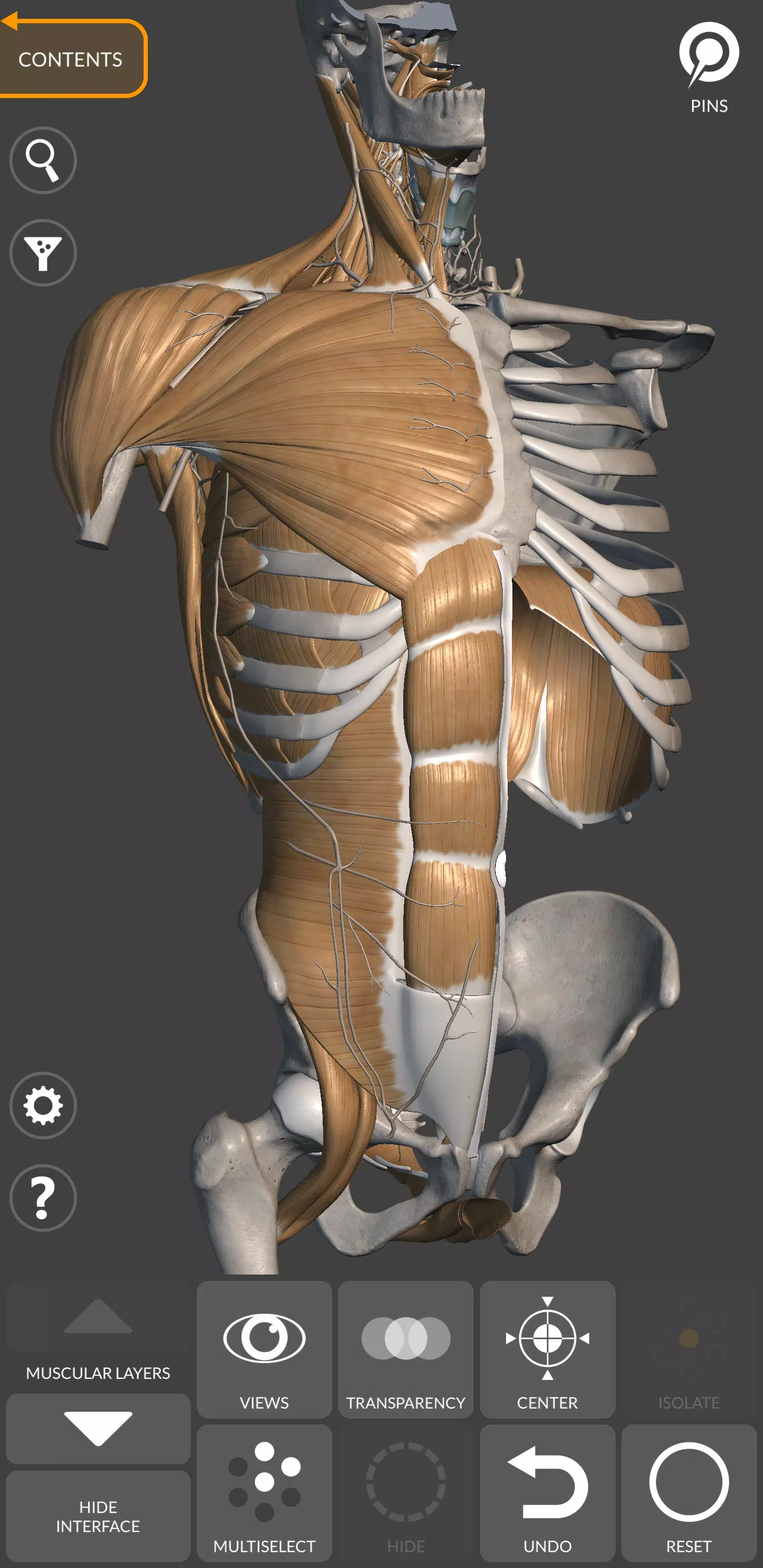 3D Anatomy for the Artist應用截圖第2張