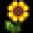 Honey Types