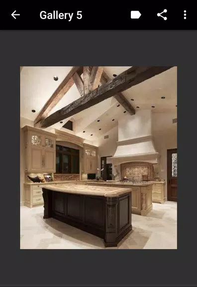 Ceiling Design Screenshot 4