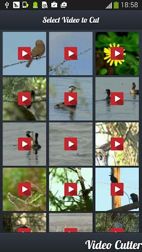 Video Cutter : Video Trimmer Captura de pantalla 4