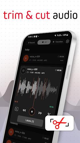 Voice Recorder Pro - VoiceX應用截圖第2張