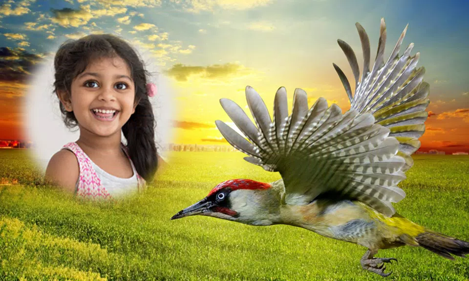 Nature Photo Frames स्क्रीनशॉट 1