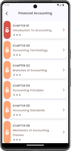 Financial Accounting and More Captura de tela 2