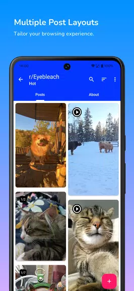 Infinity for Reddit Screenshot 2