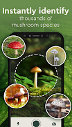 Nature Detect - Plant Identify Captura de pantalla 3