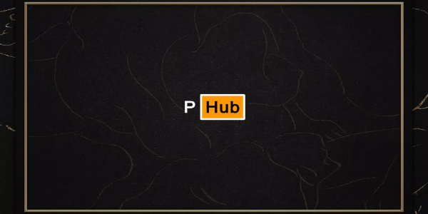 PoHub Application Screenshot 1
