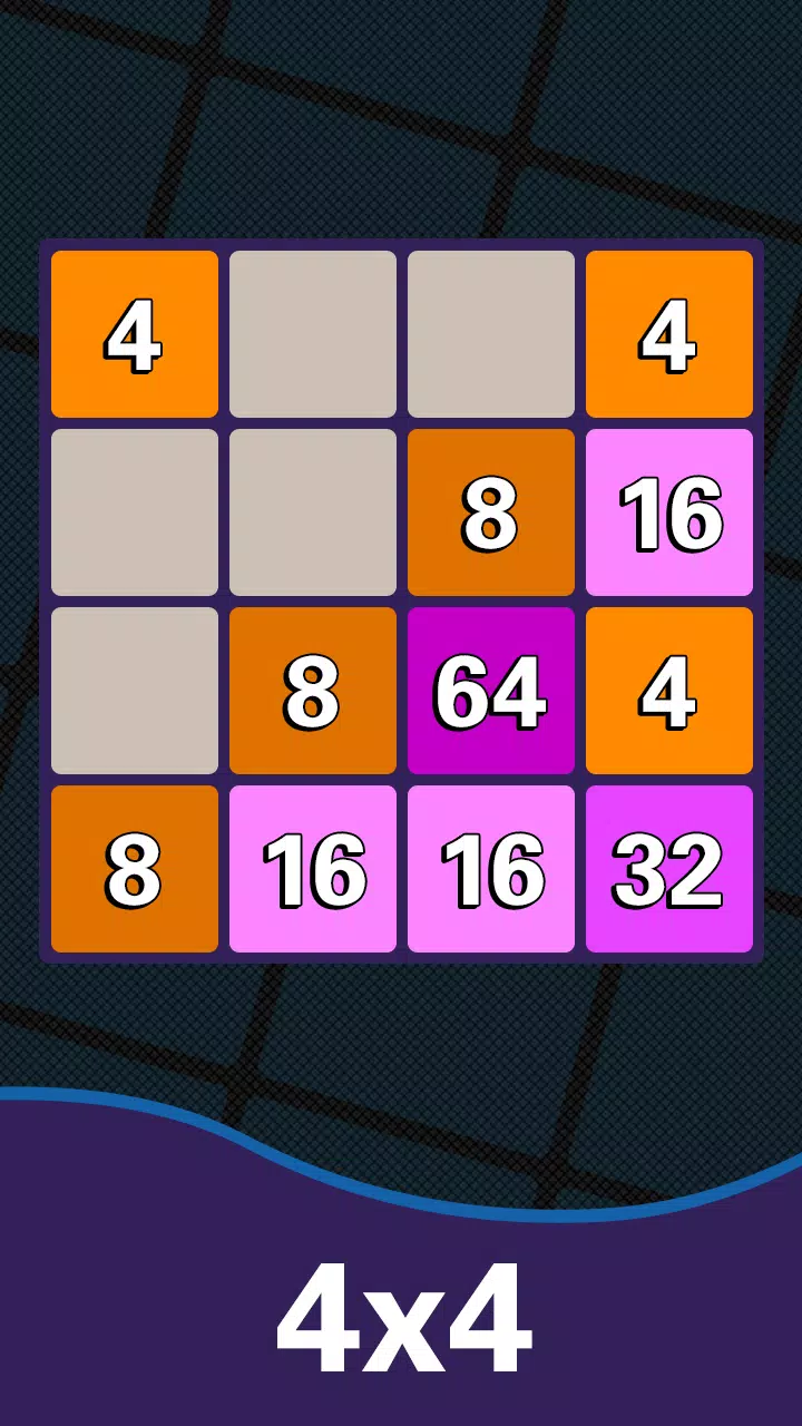 Block Number 2048應用截圖第2張