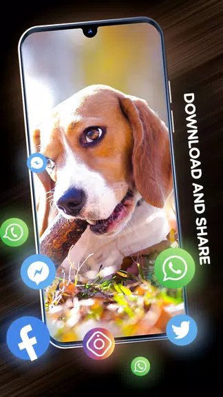 Wallpapers with dogs in 4K 스크린샷 3