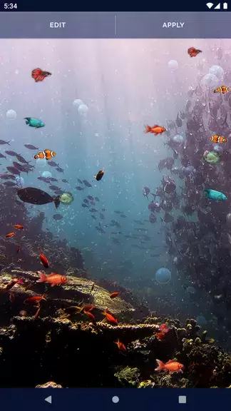 Ocean Fish Live Wallpaper 4K Captura de pantalla 4