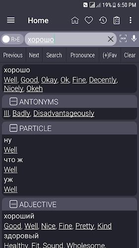 English Russian Dictionary Screenshot 2