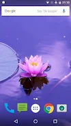 Zen Live Wallpaper Capture d'écran 3