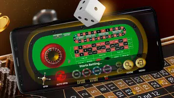 Live Roulette 24 スクリーンショット 2